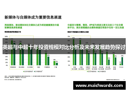 英超与中超十年投资规模对比分析及未来发展趋势探讨
